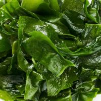 ingredient icon